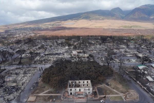 Mandatory Credit: Photo by Kevin Fujii/Civil Beat/ZUMA Press Wire/Shutterstock (14051611k) Lahania's banyan tree is photographed Thursday, in Maui. The historic Banyan Tree is burned and scarred but still standing. The historic town of Lahaina has been devastated. Destroyed homes and buildings surround the area in the aftermath of the fire. The death toll has risen to 55 people in the catastrophic Hawaii wildfires, officials said Thursday. Hawaii Wildfires: Paradise Burning, Lahaina, USA - 11 Aug 2023