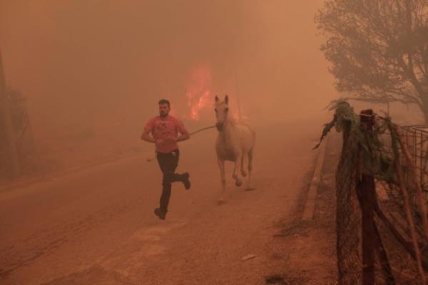 epa10813331 A farmer rushes to evacuate his horse during a wildfire at the area of Fyli near Athens, Greece, 22 August 2023. A wildfire is in progress in Fyli, west Attica region. So far, 26 firefighters with 13 vehicles are operating, while air forces have also been mobilized. EPA/KOSTAS TSIRONIS